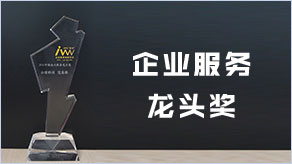 中国企业服务龙头奖