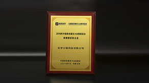 中国企业服务渠道大会·金鹏奖
